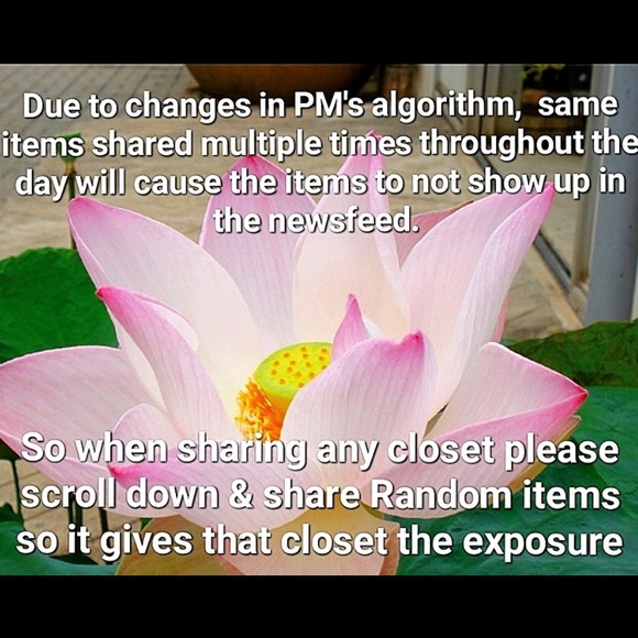 🛍🛍🛍🛍🛍🛍🛍🛍🛍🛍🛍🛍🛍🛍🛍🛍🛍 - Picture 4 of 7